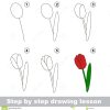 Zeichnendes Tutorium Wie Man Eine Tulpe Zeichnet Vektor bei Tulpe Zeichnen