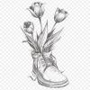 Zeichnung Blume, Tulpe, Bleistift-Skizze - Tulip Png in Blume Zeichnung Bleistift