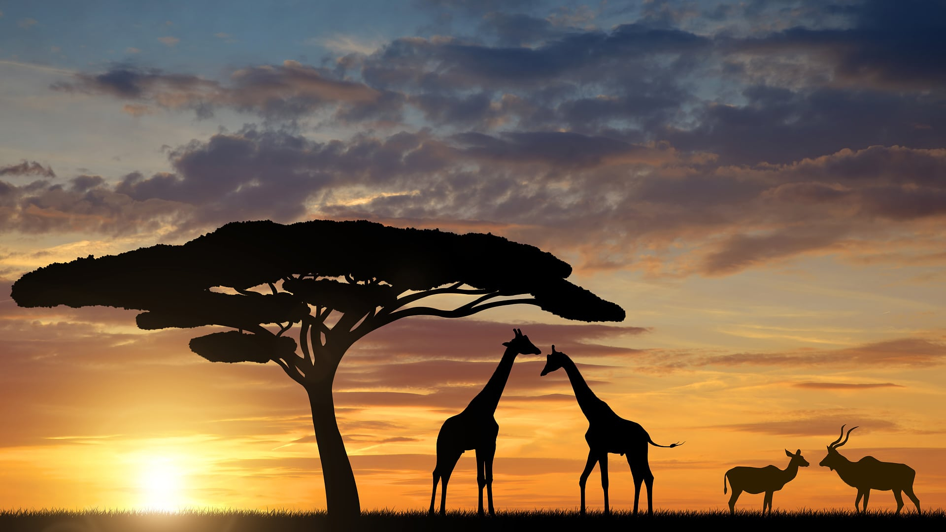 Zoologie: Warum Die Giraffe Einen Langen Hals Hat - Spektrum bei Warum Haben Giraffen Einen Langen Hals