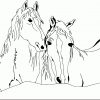 Zwei Pferde Ausmalbild &amp; Malvorlage (Pferde) über Malvorlagen Pferde