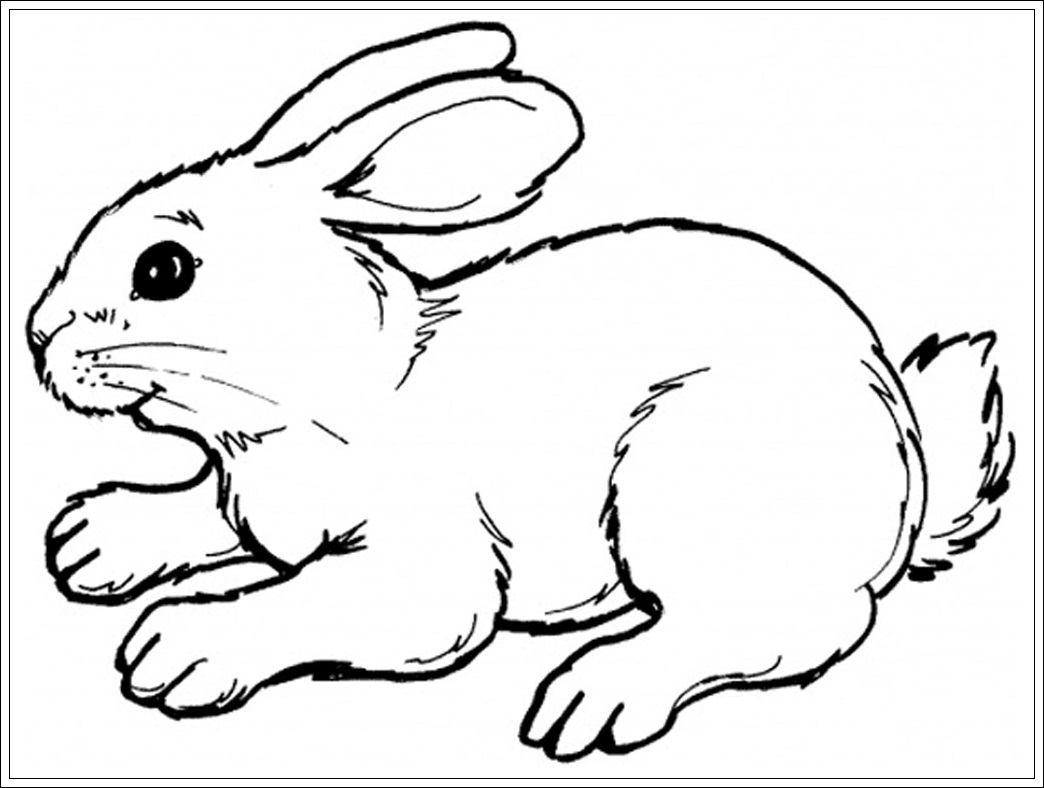 Zwergkaninchen Malvorlagen | Coloring And Malvorlagan für Kaninchen Zum Ausmalen