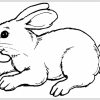 Zwergkaninchen Malvorlagen | Coloring And Malvorlagan mit Malvorlage Hase Einfach