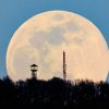 Zwischen Wissenschaft Und Esoterik: Wie Der Mond Die Welt über Was Hat Der Mond Mit Ebbe Und Flut Zu Tun