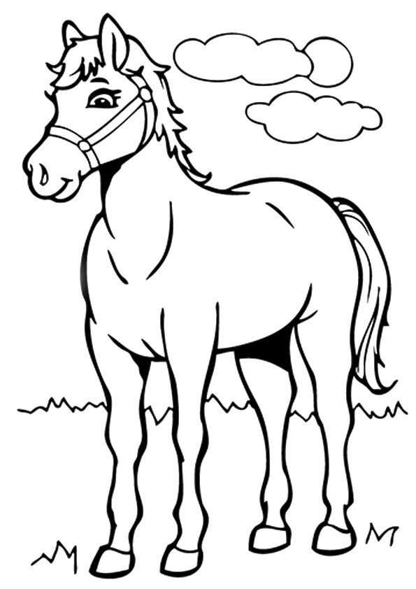 Ausmalbilder Kostenlos Pferde Mit Fohlen Und Haus in Ausmalbilder Pferde Mit Fohlen Und Reiter
