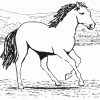 Ausmalbilder Pferde 51 | Ausmalbilder Malvorlagen bei Ausmalbilder Pferde Kostenlos Ausdrucken
