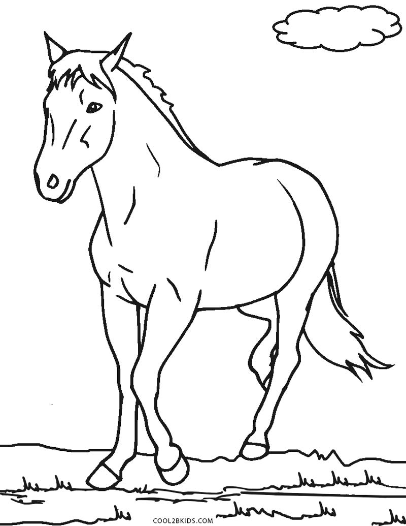 Ausmalbilder Pferde - Malvorlagen Kostenlos Zum Ausdrucken ganzes Ausmalbilder Pferde Kostenlos Ausdrucken