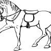 Pferde-17 | Malvorlagen Kostenlos bei Ausmalbilder Pferde Kostenlos Ausdrucken