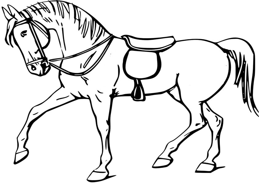 Pferde-17 | Malvorlagen Kostenlos bei Ausmalbilder Pferde Kostenlos Ausdrucken