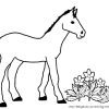 Pferdebilder Ausmalen: Pferdeköpfe Ausmalbilder | Babyduda bestimmt für Ausmalbilder Pferde Mit Fohlen Und Reiter