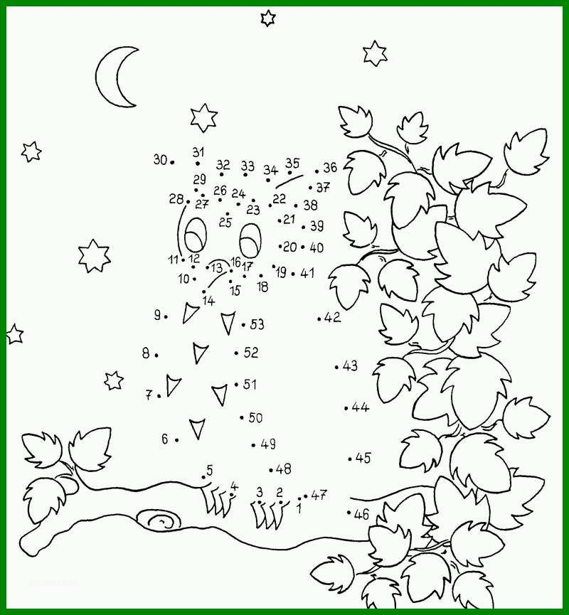 Tolle Kostenlose Malvorlage Malen Nach Zahlen Eule Zum ganzes Malen Nach Zahlen Zum Ausdrucken Erwachsene