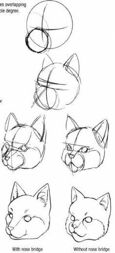 34 Ideen Katzen Zeichnen Tutorial Krieger # Katzen verwandt mit Katzengesicht Zeichnen Einfach