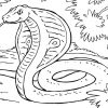 39 Schlangen Zum Ausmalen - Besten Bilder Von Ausmalbilder ganzes Schlangen Bilder Zum Ausmalen