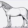 99 Das Beste Von Ausmalbilder Pferde Zum Ausdrucken verwandt mit Pferde Ausmalbilder Kostenlos
