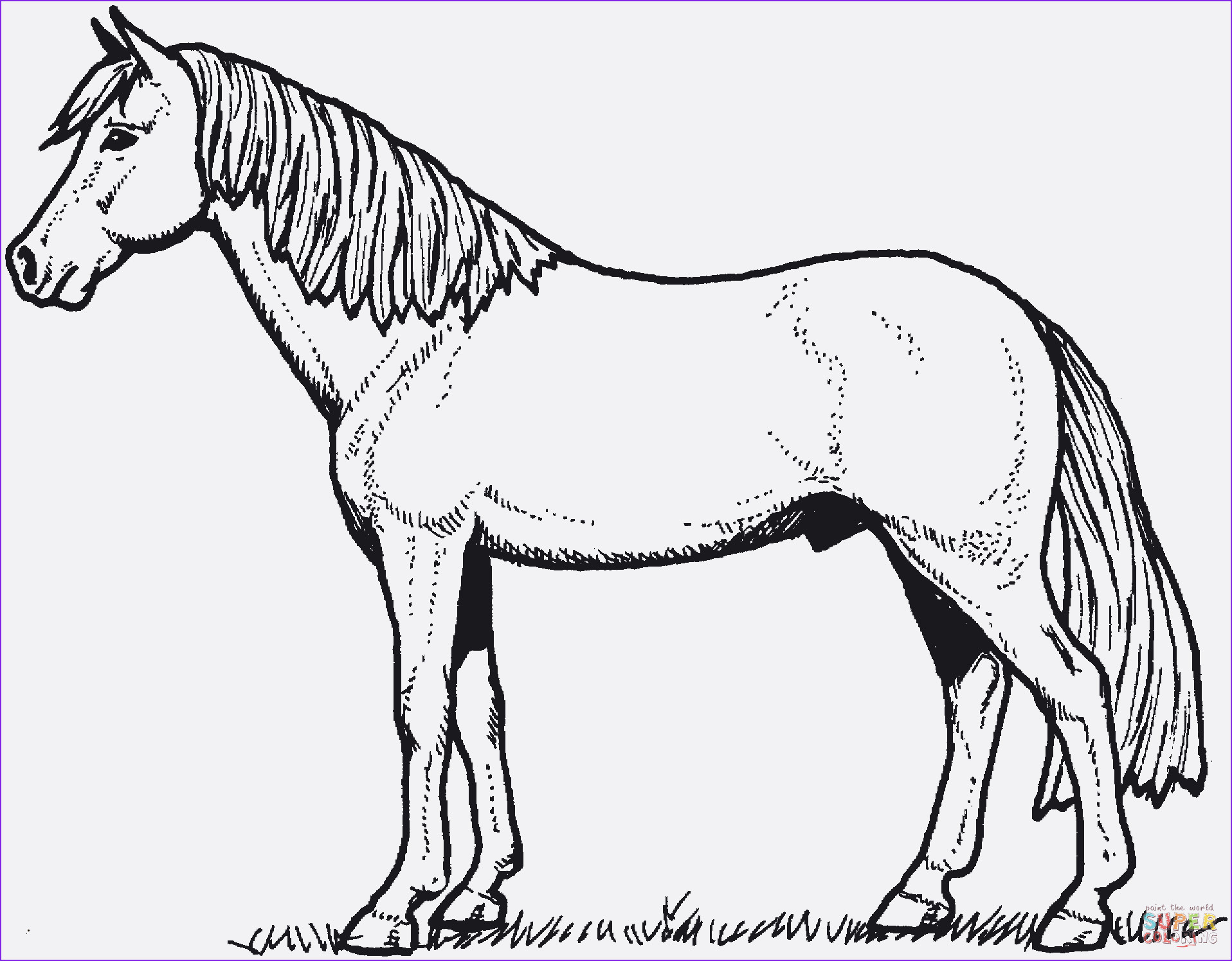 99 Das Beste Von Ausmalbilder Pferde Zum Ausdrucken verwandt mit Pferde Ausmalbilder Kostenlos