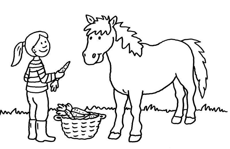 Ausmalbild Pferde: Mädchen Füttert Pferd Mit Karotten ganzes Ausmalbilder Pferd Mit Reiter