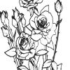 Ausmalbilder Blumen 9 | Ausmalbilder Malvorlagen über Kostenlose Ausmalbilder Blumen