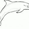 Ausmalbilder Delfin Ausdrucken 3 | Ausmalbilder, Ausmalen für Delfin Bilder Zum Ausdrucken