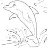 Ausmalbilder Delfin, Bild Springt Aus Dem Wasser über Delfin Bilder Zum Ausdrucken