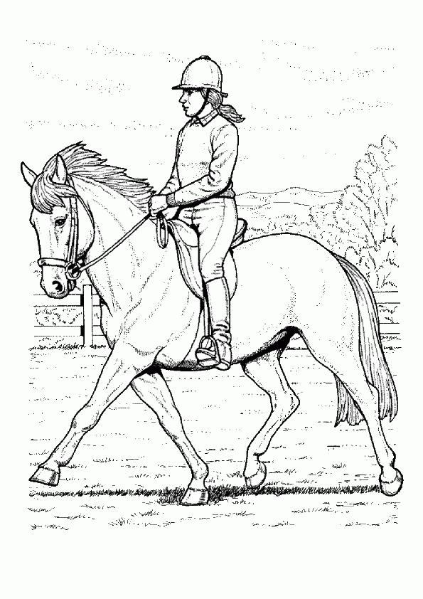 Ausmalbilder, Malvorlagen, Pferde 29 | Ausmalbilder über Ausmalbilder Pferde Ausdrucken