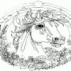 Ausmalbilder-Malvorlagen- Pferde | Ausmalbilder Malvorlagen ganzes Kostenlose Ausmalbilder Pferde