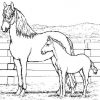 Ausmalbilder Pferde 13 | Ausmalbilder Kostenlos bestimmt für Ausmalbilder Pferd Kostenlos