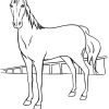 Ausmalbilder Pferde - Malvorlagen Kostenlos Zum Ausdrucken bei Ausmalbilder Pferd Kostenlos