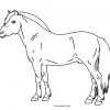 Ausmalbilder Pferde - Malvorlagen Kostenlos Zum Ausdrucken innen Ausmalbild Pferd Zum Ausdrucken