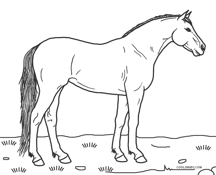 Ausmalbilder Pferde - Malvorlagen Kostenlos Zum Ausdrucken mit Ausmalbilder Pferd Kostenlos