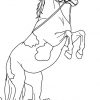 Ausmalbilder Pferde - Malvorlagen Kostenlos Zum Ausdrucken mit Ausmalbilder Pferd Zum Ausdrucken