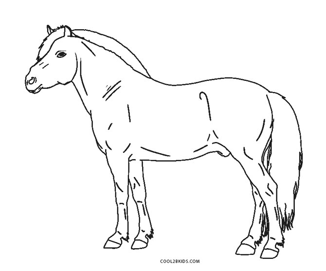 Ausmalbilder Pferde - Malvorlagen Kostenlos Zum Ausdrucken mit Kostenlose Ausmalbilder Pferde