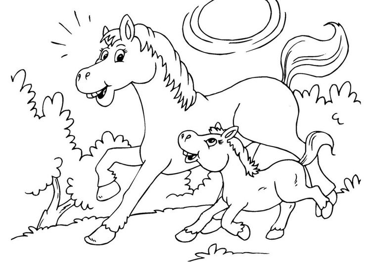 Ausmalbilder Pferde Mit Fohlen - Ausmalbilder Für Kinder für Pferde Zum Ausmalen Und Drucken