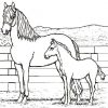 Ausmalbilder Pferde | Zebras, Humanoid Sketch, Art bestimmt für Ausmalbilder Pferde Mit Reiterin