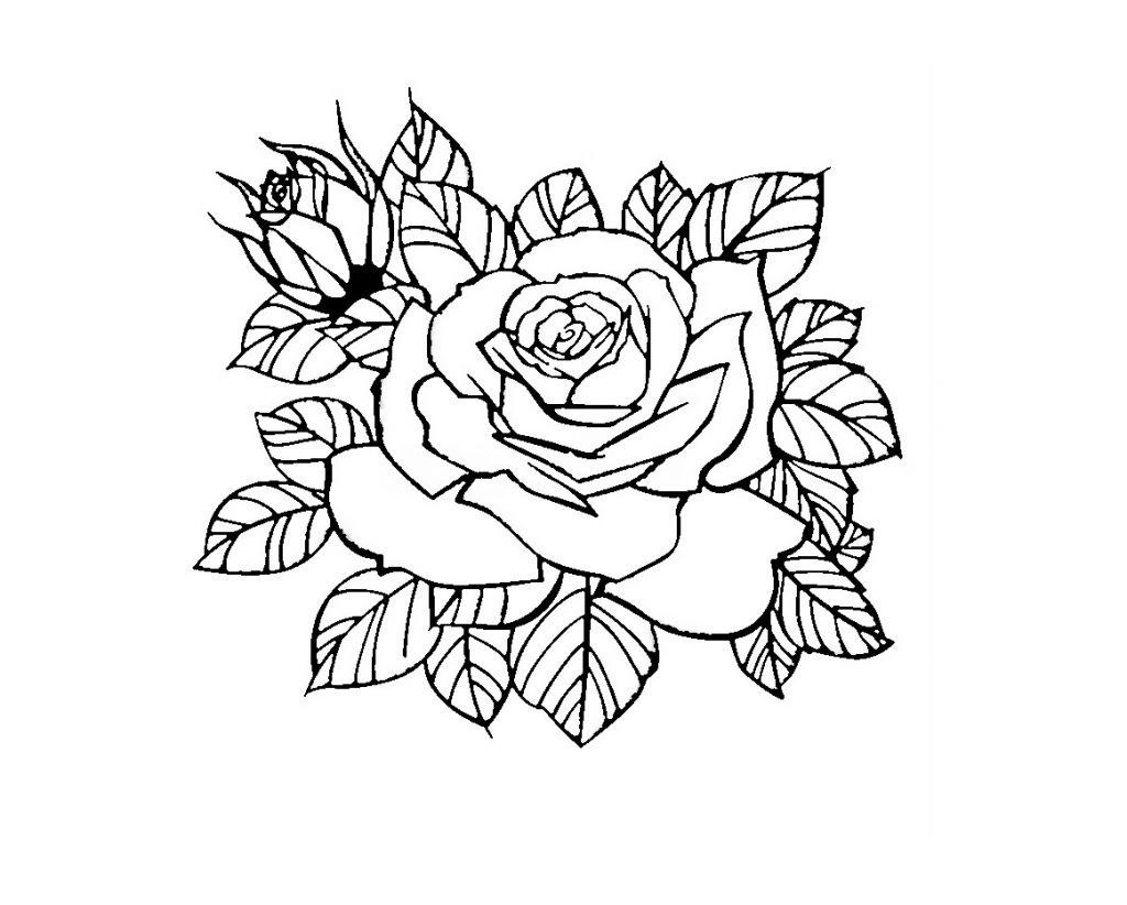 Ausmalbilder Rose Bilder Zum Ausdrucken - Super Malvorlagen in Noten Bilder Zum Ausdrucken Kostenlos