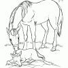 Ausmalbilder Zum Ausdrucken: Ausmalbilder Pferde mit Pferde Zum Ausmalen Und Drucken
