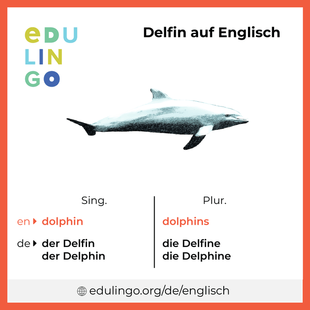 Delfin Bilder Zum Ausdrucken / Meerjungfrau Mit Delfin bestimmt für Delfin Bilder Zum Ausdrucken