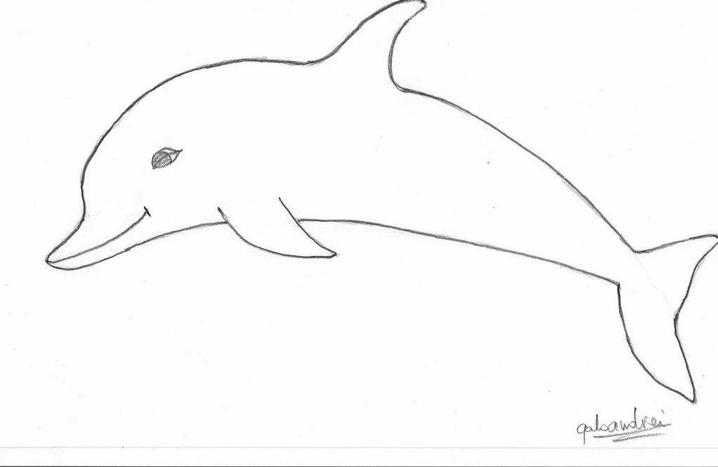 Delfin Zum Ausdrucken Bilder, Delfin Zum Ausdruckenbild bestimmt für Delfin Bilder Zum Ausdrucken