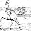 Die Besten Ideen Für Pferde Ausmalbilder Dressur - Beste in Ausmalbilder Pferde Mit Reiter