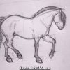 [Download 18+] Skizze Pferd Zeichnen bestimmt für Pferdekopf Zeichnen Bleistift