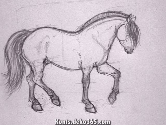 [Download 18+] Skizze Pferd Zeichnen bestimmt für Pferdekopf Zeichnen Bleistift