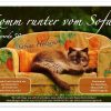 Einladungskarte Katze Auf Sofa | Witzige ganzes Lustige Bilder Zum 16 Geburtstag