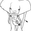 Elefant - Gratis Ausmalbild bei Ausmalbild Elefant Kostenlos