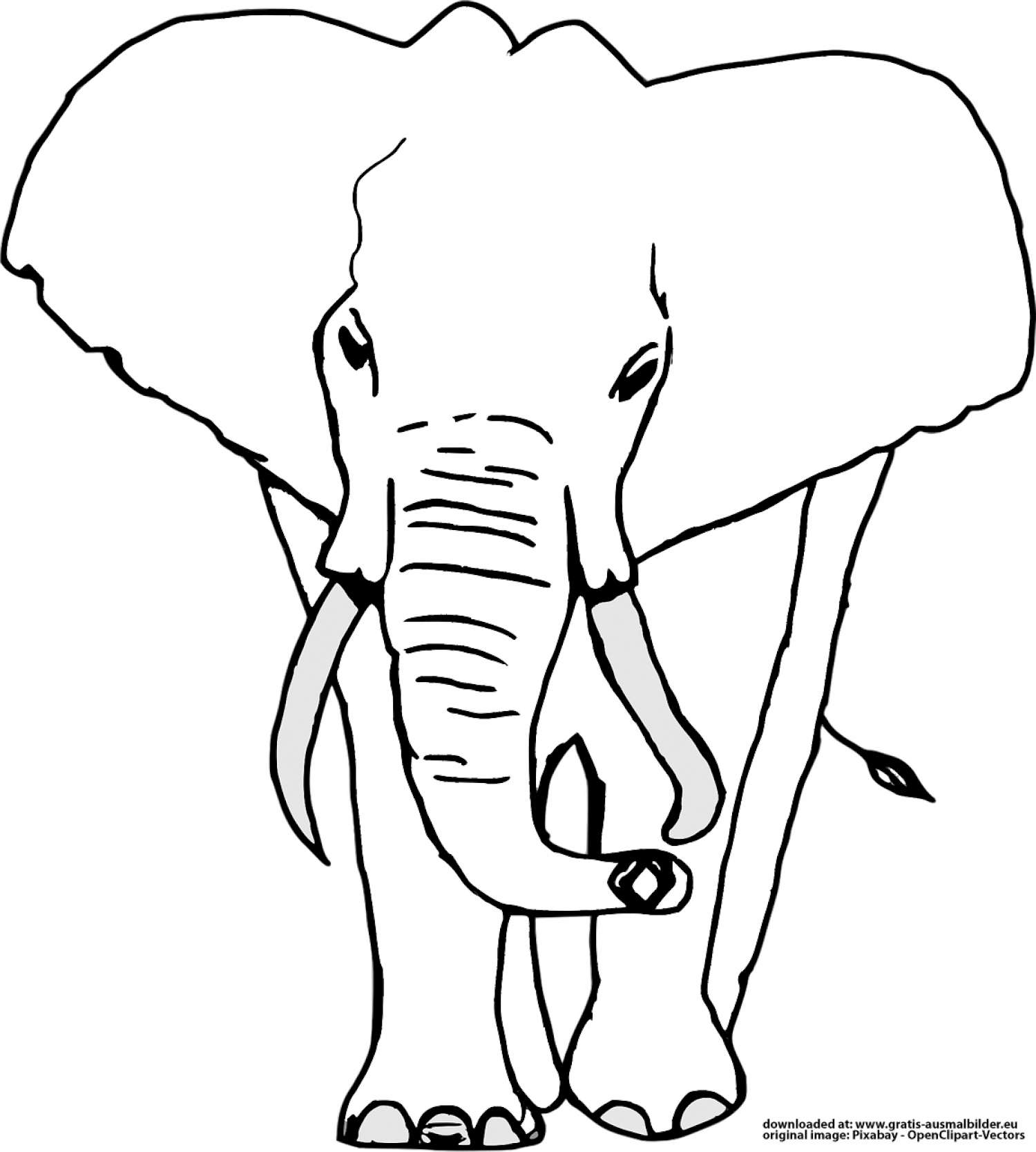 Elefant - Gratis Ausmalbild bei Ausmalbild Elefant Kostenlos