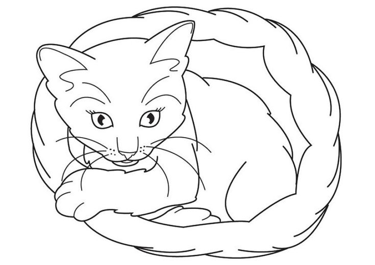 Katzen Ausmalbilder - Ausmalbilder Kinder Für Malvorlagen in Malvorlagen Katzen Zum Ausdrucken