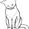 Katzen Bilder Zum Ausmalen - Newtemp über Malvorlage Katze Zum Ausdrucken