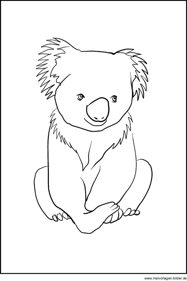 Koala Bär Ausmalbild - Malvorlagen Zum Ausdrucken über Zootiere Bilder Zum Ausmalen
