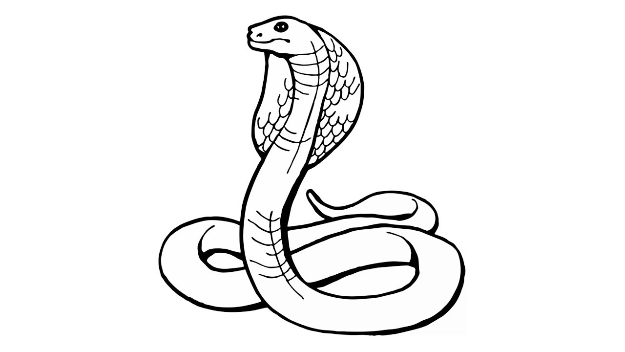 Kobra Schlange Bilder Zum Ausmalen | Kinder Ausmalbilder ganzes Schlangen Bilder Zum Ausmalen