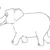 Malvorlage 07B. Elefant - Kostenlose Ausmalbilder Zum für Elefanten Bilder Zum Ausmalen