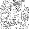 Malvorlage Kakadu | Papagei Vögel - Kostenlose Ausmalbilder in Vogel Ausmalbilder Für Erwachsene