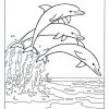Malvorlagen Delfin, Bild Drei Delphine Springen Zusammen bei Delfine Bilder Zum Ausdrucken