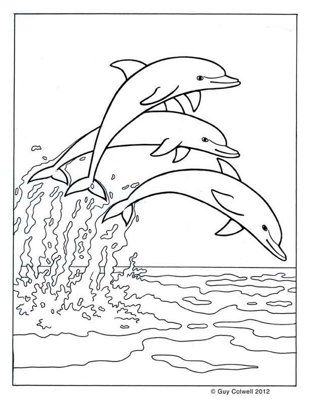 Malvorlagen Delfin, Bild Drei Delphine Springen Zusammen bei Delfine Bilder Zum Ausdrucken
